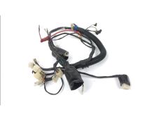 Faisceau electrique