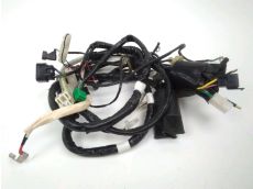 Faisceau electrique