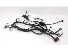 Faisceau electrique