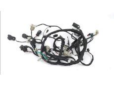 Faisceau electrique