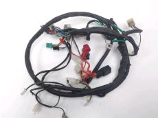 Faisceau electrique
