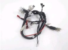 Faisceau electrique