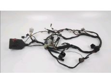 Faisceau electrique