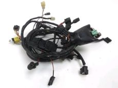 Faisceau electrique