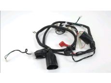 Faisceau electrique