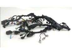 Faisceau electrique