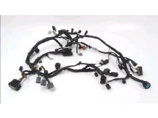 Faisceau electrique