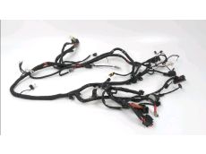 Faisceau electrique