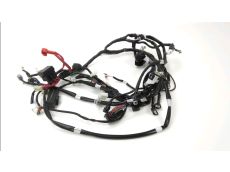 Faisceau electrique