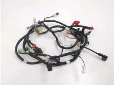 Faisceau electrique