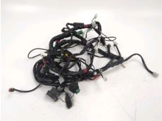Faisceau electrique