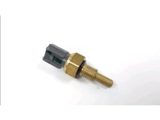 Sonde