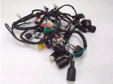Faisceau electrique