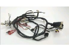 Faisceau electrique
