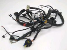 Faisceau electrique