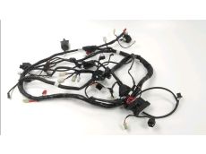 Faisceau electrique