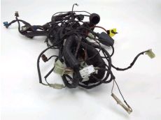 Faisceau electrique