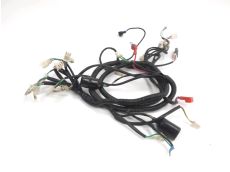 Faisceau electrique