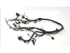 Faisceau electrique