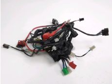 Faisceau electrique