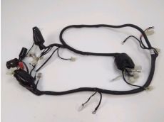 Faisceau electrique