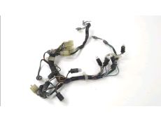 Faisceau electrique