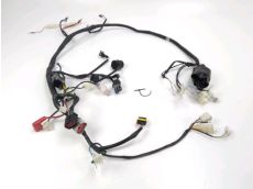 Faisceau electrique