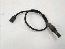 Sonde