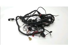 Faisceau electrique