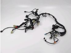 Faisceau electrique