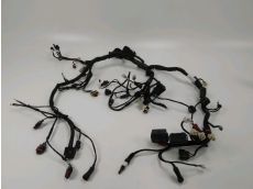 Faisceau electrique