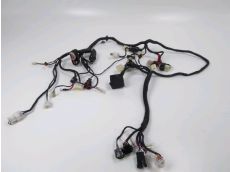 Faisceau electrique