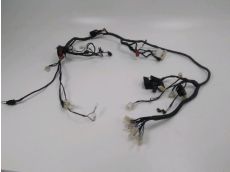 Faisceau electrique