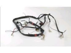 Faisceau electrique