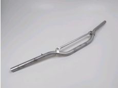 Guidon
