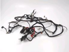 Faisceau electrique