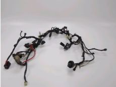 Faisceau electrique