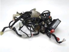 Faisceau electrique