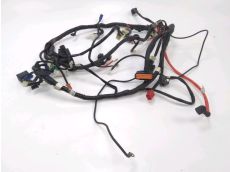 Faisceau electrique
