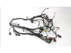 Faisceau electrique