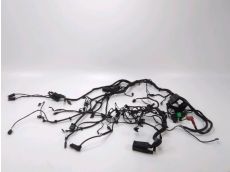 Faisceau electrique