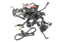 Faisceau electrique