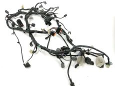 Faisceau electrique