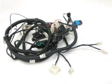 Faisceau electrique