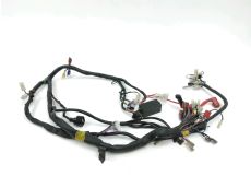 Faisceau electrique