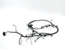 Faisceau electrique