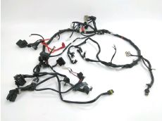 Faisceau electrique