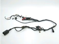 Faisceau electrique