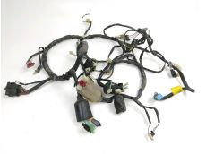 Faisceau electrique