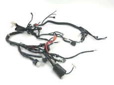 Faisceau electrique